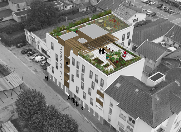 Photo d'un jardin en terrasse