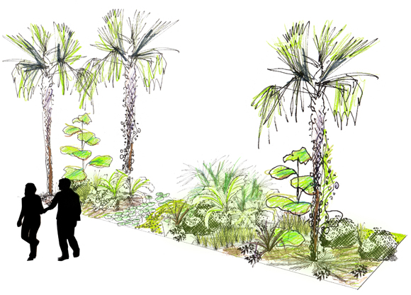 Croquis du jardin aux palmiers