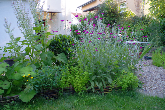 Photo d'un jardin